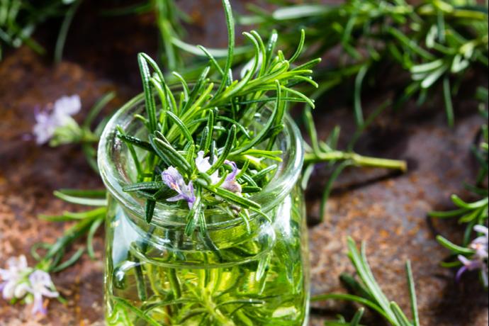 rosemary ingredient in chemical free toothpaste